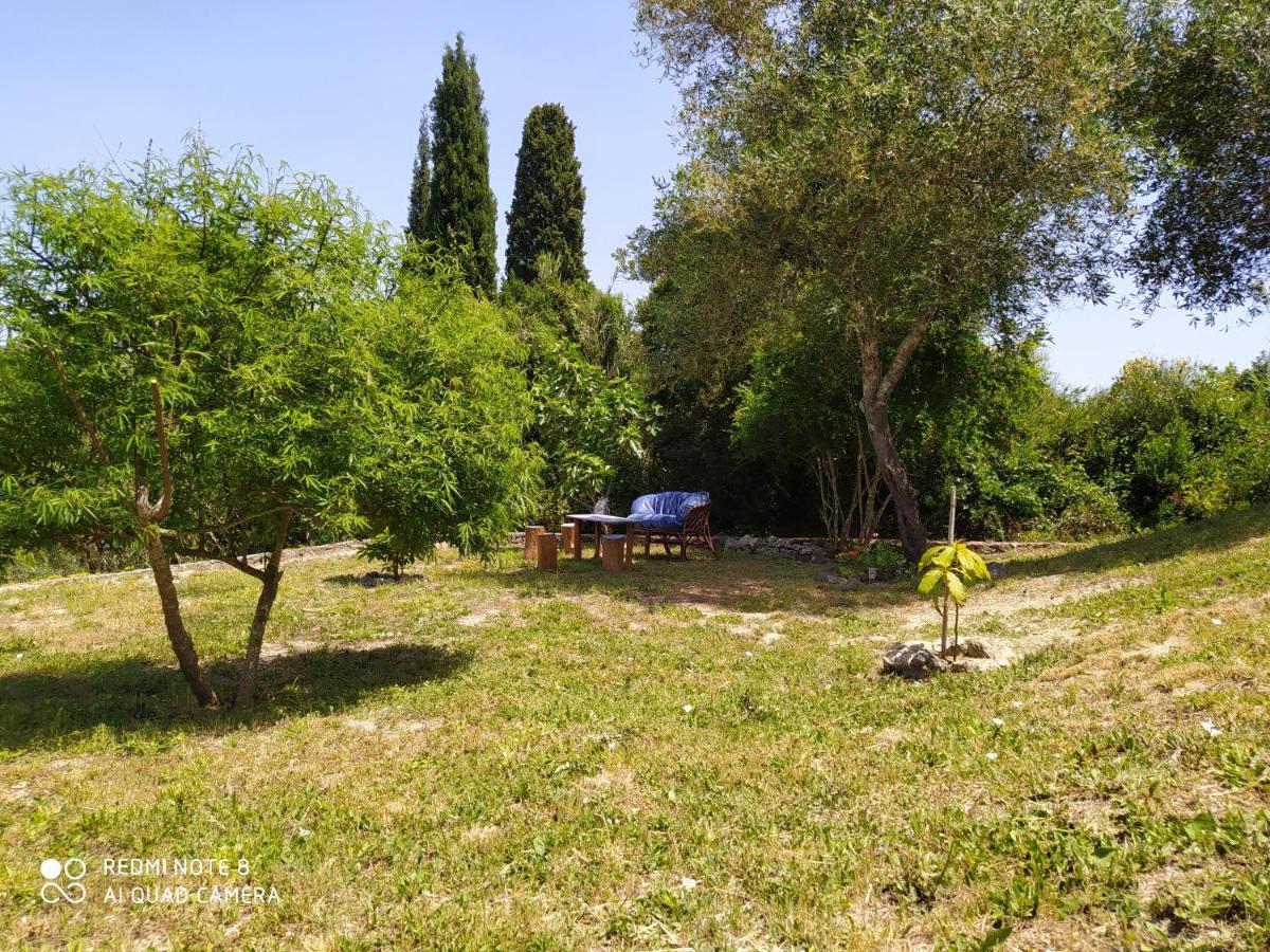 Corfu Villa Galini Potamós Exteriör bild